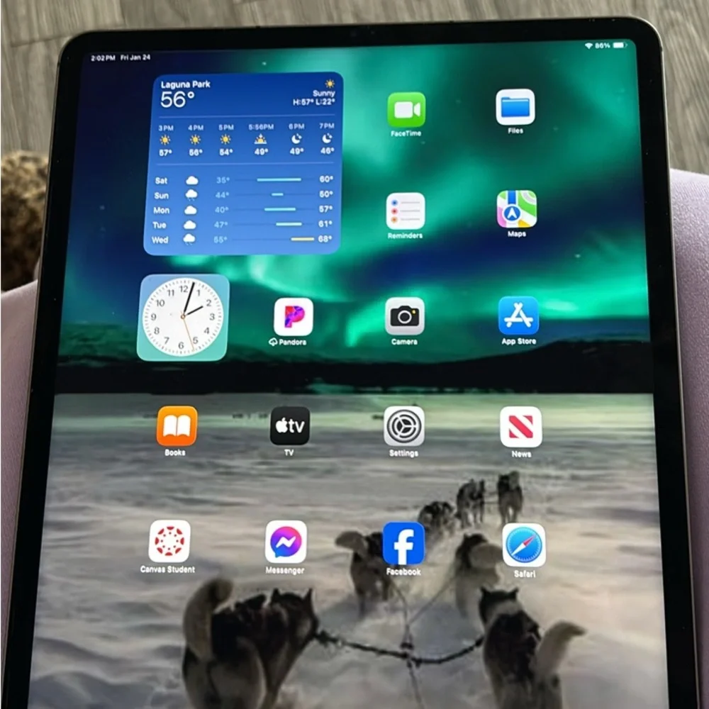 Apple iPad